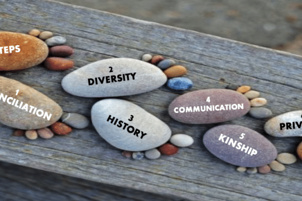 cultural competency training solutions