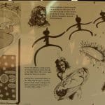Tnorola: A Baby Falls From The Stars
