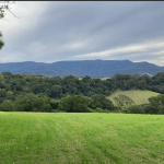 Connection to Country – Why is Country important to Aboriginal and Torres Strait Islander People?