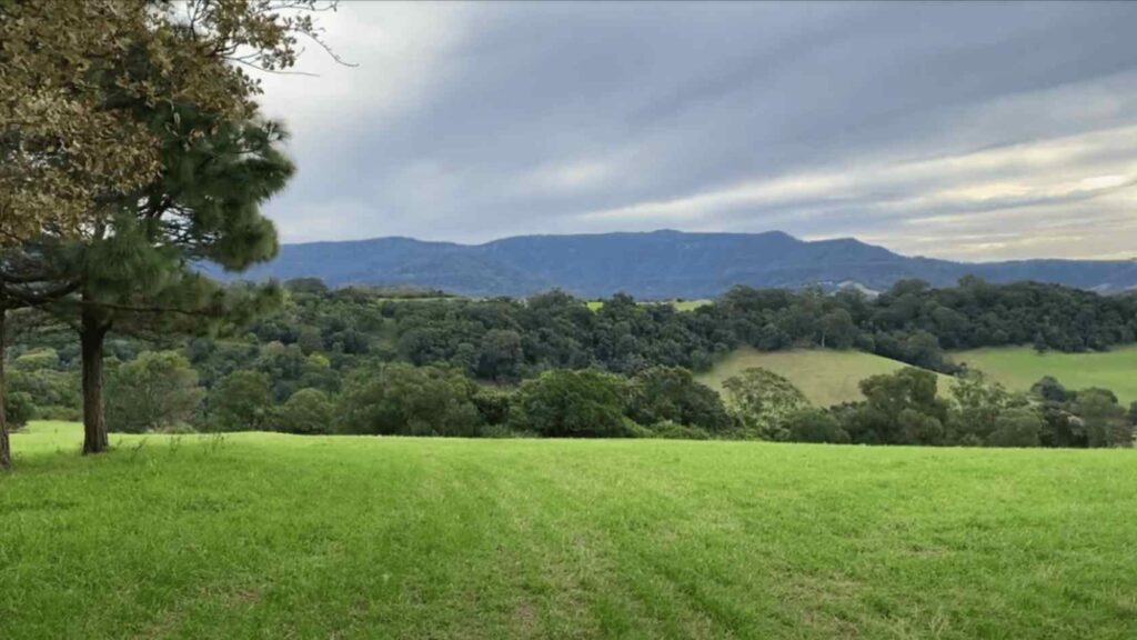 Welcome to country evolve communities