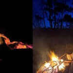 Aunty Munya Evolve Communities Campfire